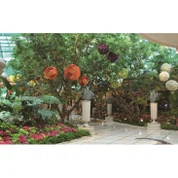 Моделирование Banyan Tree
