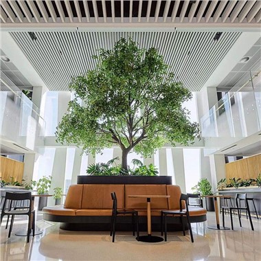 Интерьерное искусственное черное оливковое дерево